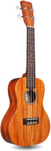 Load image into Gallery viewer, Cordoba Mahogany Concert Ukulele 20CM