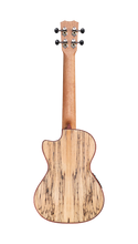 Load image into Gallery viewer, Cordoba Spruce/Spalted Maple Tenor Electric Ukulele 24T-CE