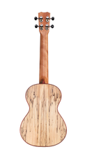 Load image into Gallery viewer, Cordoba Spruce/Spalted Maple Tenor Ukulele 24T
