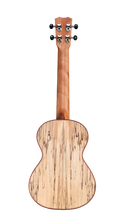 Load image into Gallery viewer, Cordoba Spruce/Spalted Maple Tenor Ukulele 24T