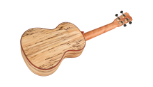 Load image into Gallery viewer, Cordoba Spruce/Spalted Maple Tenor Ukulele 24T