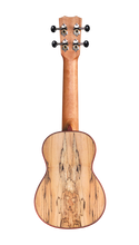 Load image into Gallery viewer, Cordoba Spruce/Spalted Maple Soprano Ukulele 24S