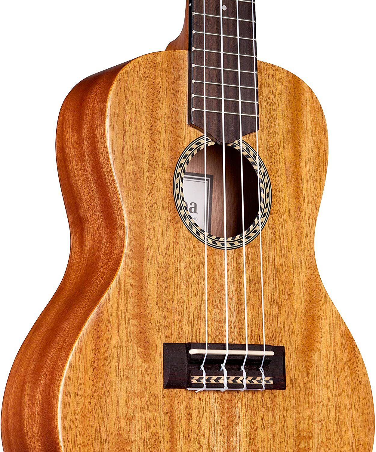 Cordoba Mahogany Tenor Ukulele 20TM Fan Guitar and Ukulele